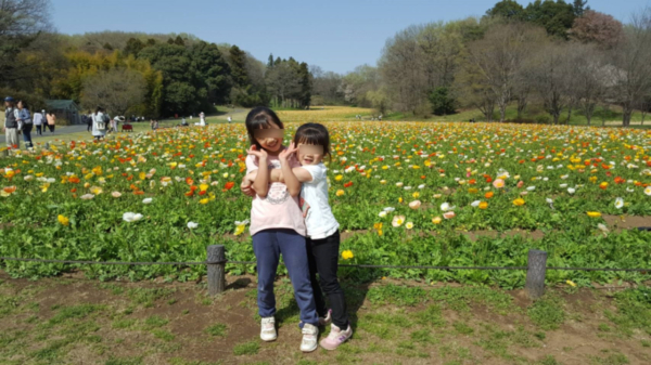 子供たちと埼玉県の「武蔵丘陵森林公園」に遊びに行った際の写真です。運動広場の花畑で伸び伸び気持ちいいショットの一枚です。