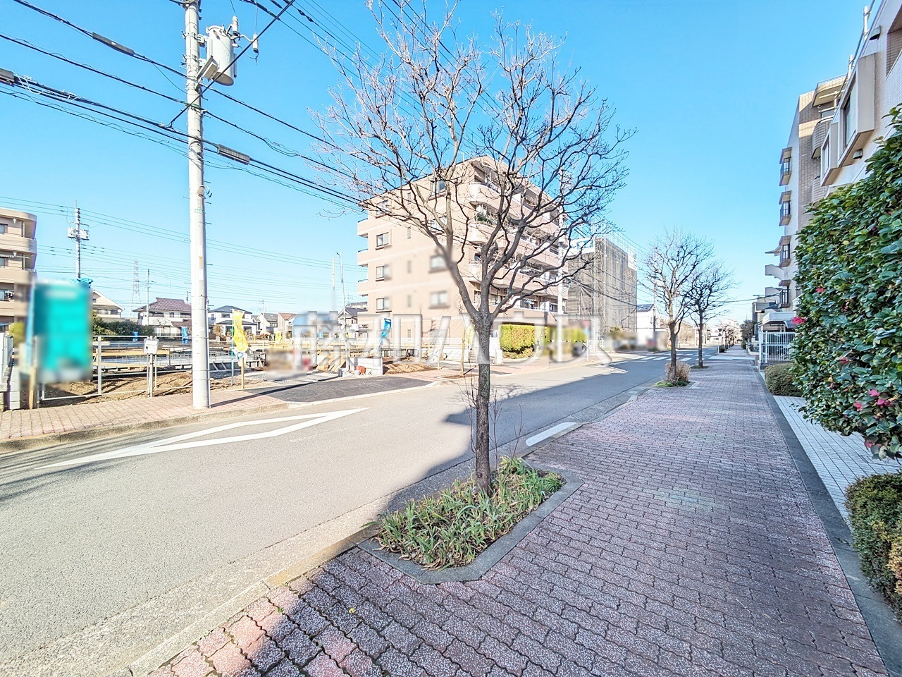 接道状況および現場風景　【小平市栄町２丁目】／撮影日：2025年3月7日