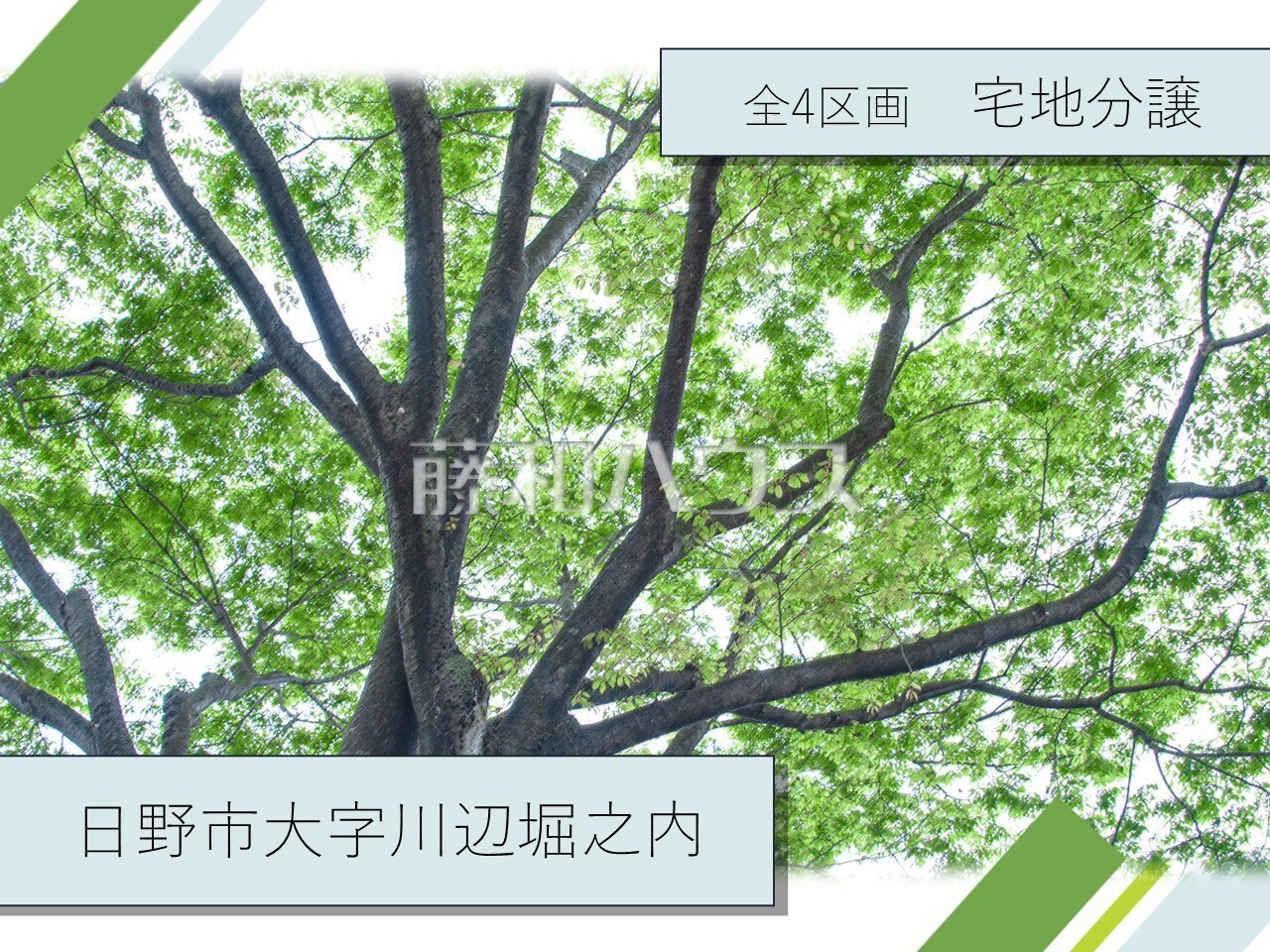 その他　【日野市大字川辺堀之内】