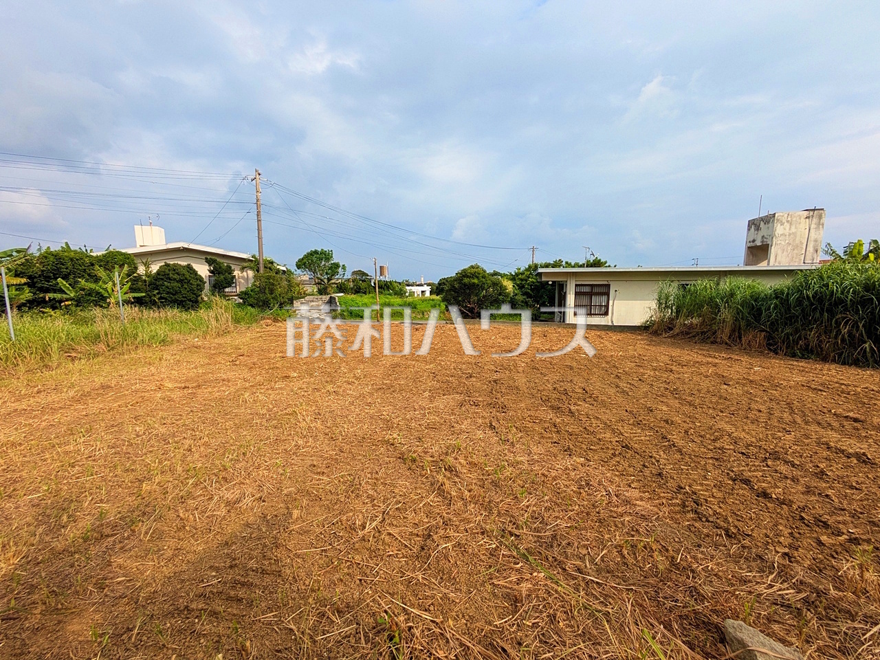 現場風景 【八重瀬町字安里】/撮影日:2026年10月3日