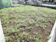 5号地　現地写真　【小平市小川町１丁目】 物件の事、諸費用の事など、小さな疑問もお気軽にご連絡・ご相談下さい。 