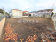 現地写真　【世田谷区成城５丁目】