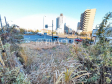 現地写真　【日野市落川】