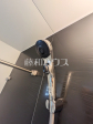 シャワーヘッド　【志木市幸町４丁目】