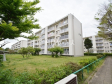 外観　【多摩川住宅　ハ16号棟】