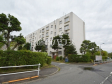 外観　【多摩川住宅　ハ16号棟】