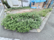 D号棟　現地写真　【西東京市泉町２丁目】