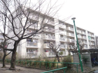 多摩川住宅ハ-5号棟物件画像