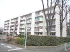 多摩川住宅ハ-5号棟物件画像