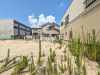 名古屋市北区東長田町1期　全5棟／1号棟　新築分譲住宅物件画像