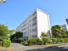 公社多摩川住宅ハ-８号棟物件画像