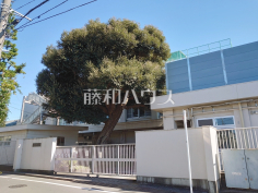 杉並区立久我山小学校