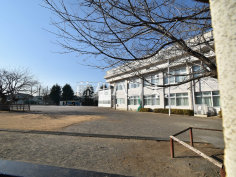 八王子市立第八小学校