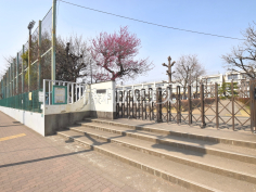 立川市立柏小学校