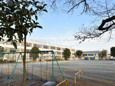 国立市立国立第五小学校