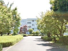 多摩市立瓜生小学校