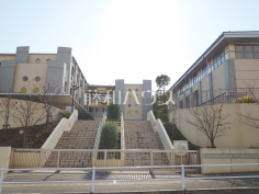 稲城市立南山小学校