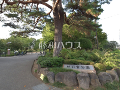 杉並区立柏の宮公園