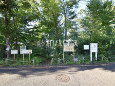 向山緑地公園