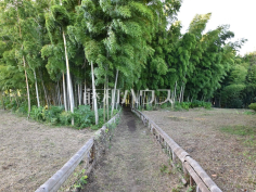 竹林公園