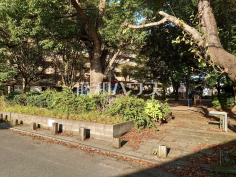 西口中央公園