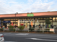 コープみらい貫井坂下店