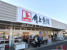 角上魚類 日野店