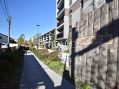 花の通学路
