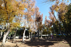 北町公園 （武蔵野市）