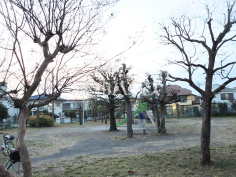 しいの木仲よし広場