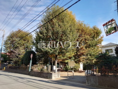 新町しいの木公園