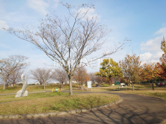 稲城北緑地公園
