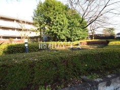 南町緑地