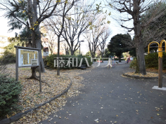 谷戸イチョウ公園