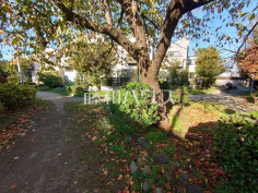 野川緑地公園
