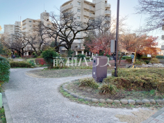 西東京市さくら公園