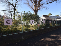 東京学芸大学附属幼稚園小金井園舎