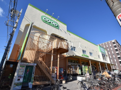 コープみらいコープ関町店