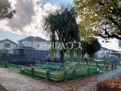 ヤナギの池広場