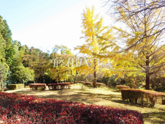 平尾夫婦坂児童公園