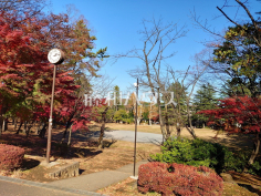 平尾近隣公園(平尾南公園)