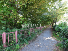 玉川上水緑道(小平市上水南町)