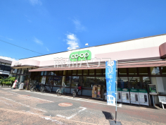 コープみらい コープ弁天通り店
