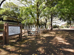 たけのこ公園