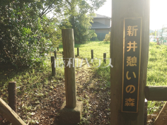 新井憩いの森