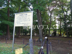 井頭憩いの森