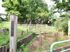 関町北憩いの森