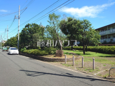 東大泉木もれ陽公園