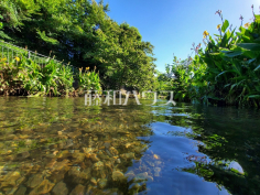 落合川いこいの水辺
