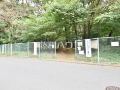 金山森の広場